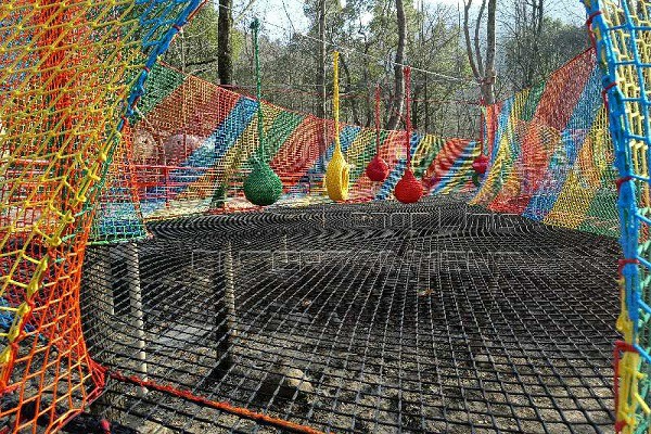 Trampoline net in forest